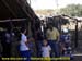 sucupira_2008_0030