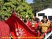 sucupira_2008_0077
