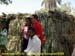 sucupira_2008_0097