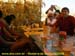 sucupira_2008_0102