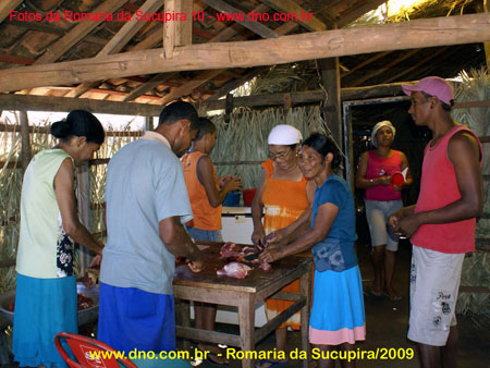 sucupira_2009_0003