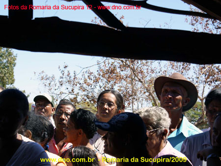 sucupira_2009_0137