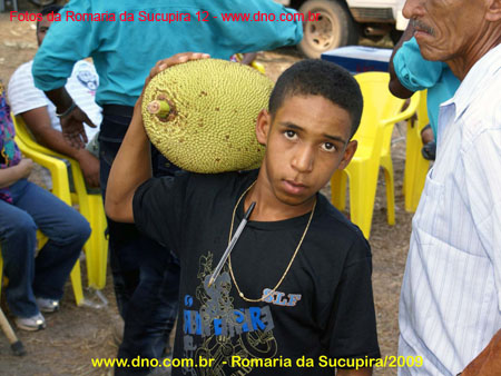 sucupira_2009_0193