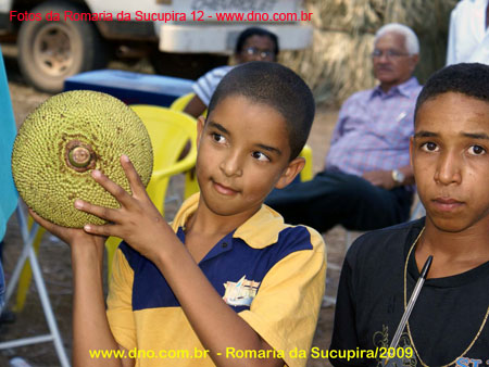 sucupira_2009_0195