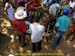 sucupira_2009_0181