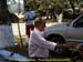 sucupira_2009_0182