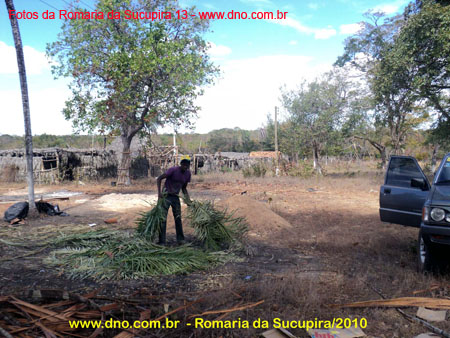 sucupira_2010_002