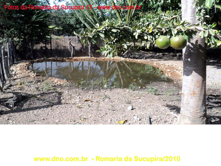 sucupira_2010_021