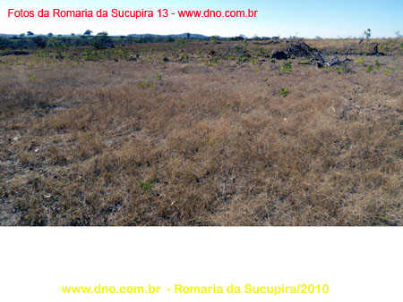 sucupira_2010_042