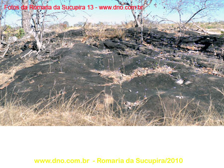 sucupira_2010_044