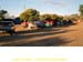 sucupira_2010_010