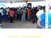 sucupira_2010_016