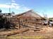 sucupira_2010_047