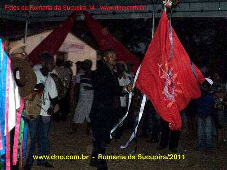 sucupira_2011_0097