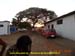 Sucupira_2014-Nidé_01-08-2014_041