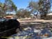 Sucupira_2015-07-31_004
