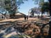 Sucupira_2015-07-31_005