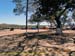 Sucupira_2015-07-31_009