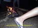 sucupira_2013_074