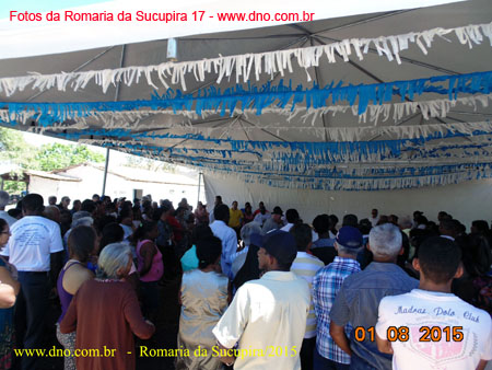 Sucupira_2015-08-01_071