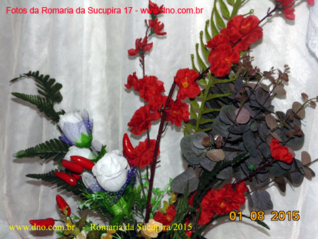 Sucupira_2015-08-01_CasamentoRaquel_104