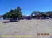 Sucupira_2015-08-01_055