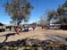Sucupira_2015-08-01_078