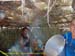 Sucupira_2015-08-02_160